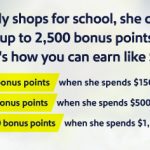 Up To 2,500 Bonus Points With Rapid Rewards Shopping Portal