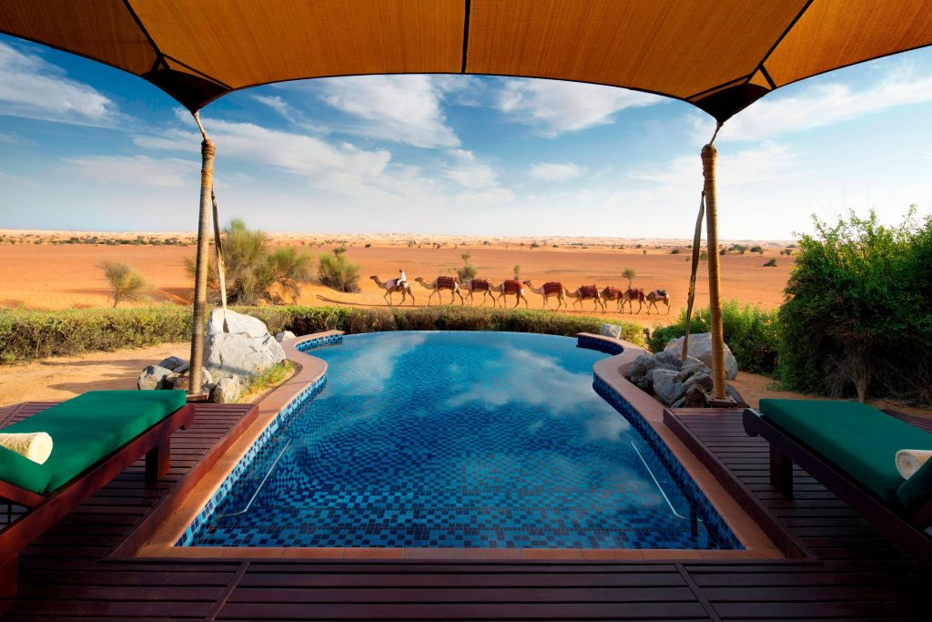 A photo of camels and a pool at Al Maha Resort in Dubai