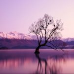 Stop Sleeping on the Wells Fargo Propel American Express Card