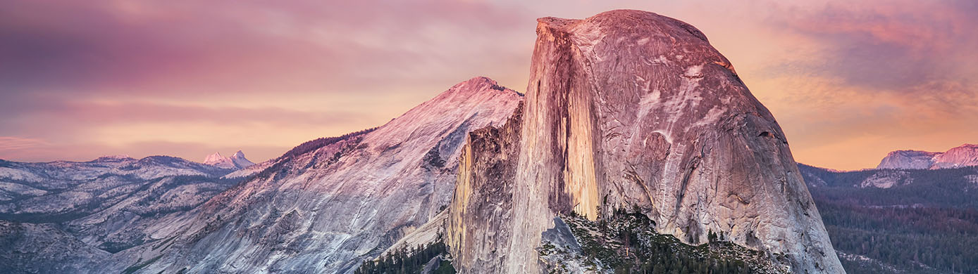 Free Nights vs Free Points: What is Best?