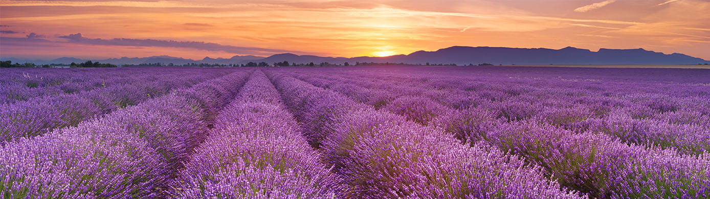 Club Carlson Rebranded to Radisson Rewards