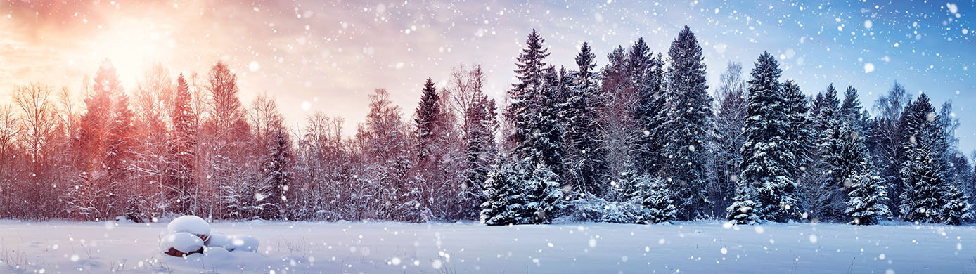 Introducing Award Travel 101 - AwardWallet's Official Facebook Community