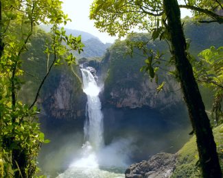 20% Off Amazon When Using 1 Membership Rewards Point