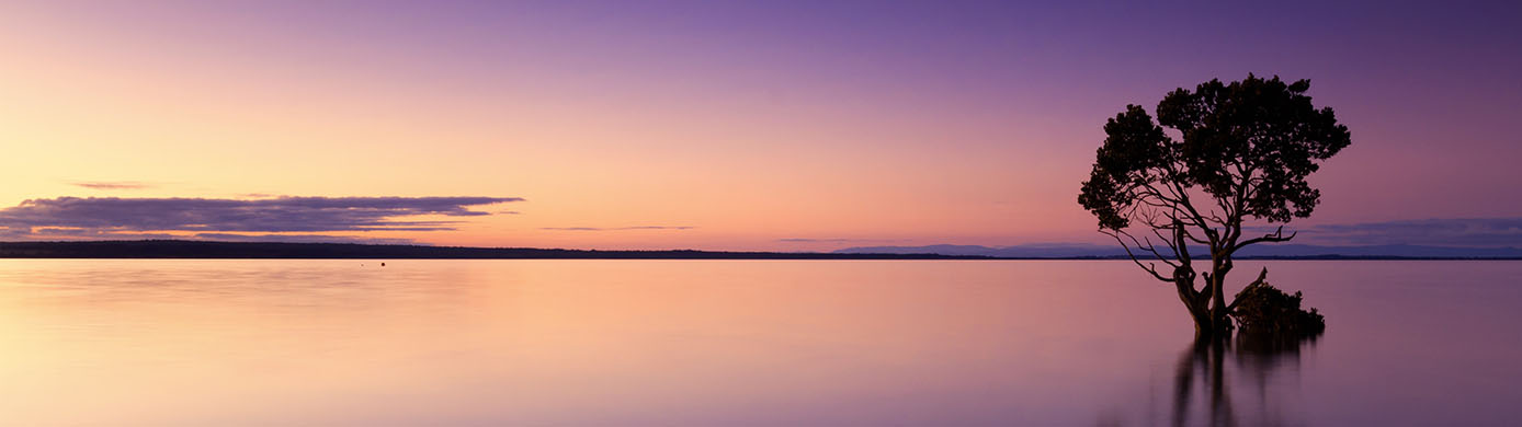 Comparison of Premium Travel Rewards Credit Cards