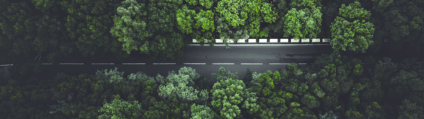 Sweet Spots with Marriott & Starwood Merger for SPG Members