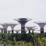 3 Killer Rewards Card Offers to Maximize Business Spending