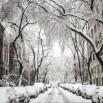 Transfer Citi ThankYou Points to Avianca LifeMiles with a 25% Bonus