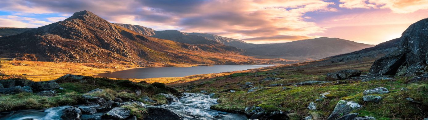 Partner Awards in Premium Economy Now Bookable with American Miles