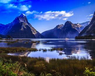 Sweet Spots with United Airlines MileagePlus Awards