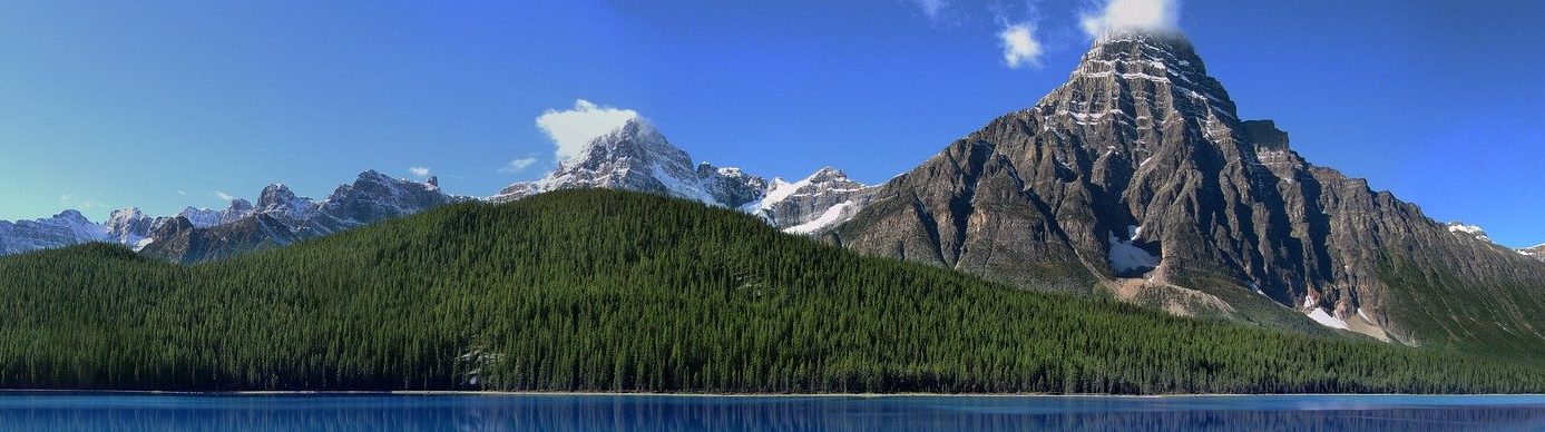 Discover Announces 5% Cash Back Calendar for 2020