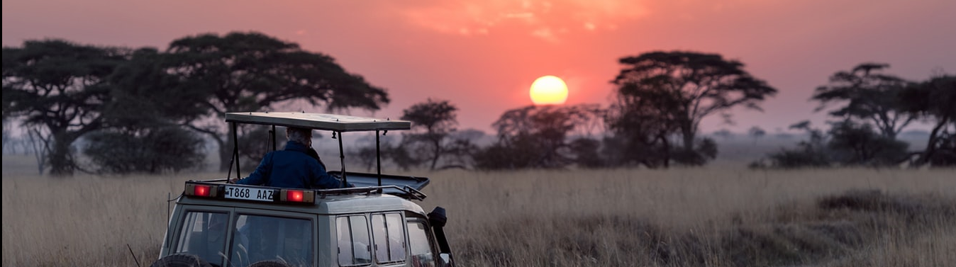 Safari Lodges You Can Book With Marriott, Hyatt, and Virgin Points