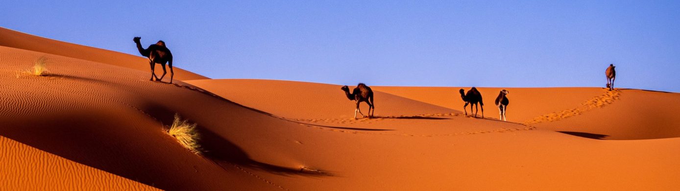 American Airlines Moves Morocco To Europe, Decreasing Award Prices and Increasing Routing Options