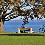 How I Stacked Offers to Purchase New Bose Noise Cancelling Headphones for Under $90