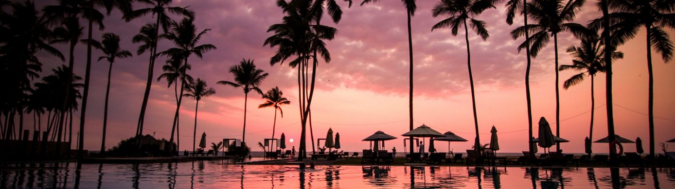 Can TAP Portugal Access More United Awards than United’s Own Members?