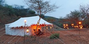 smith-jaipur-6636126244-2x1-1-300x150