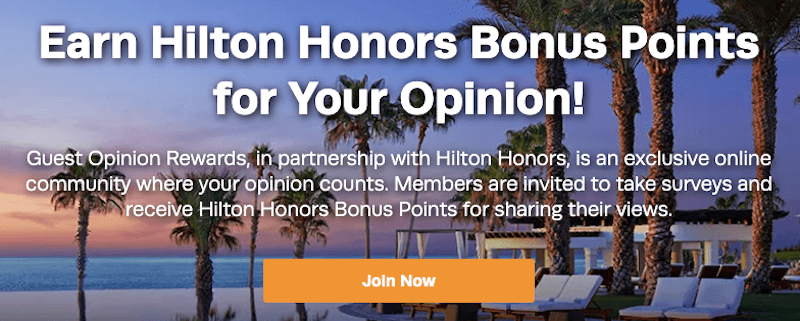 Hilton Honors Guest Opinion Rewards