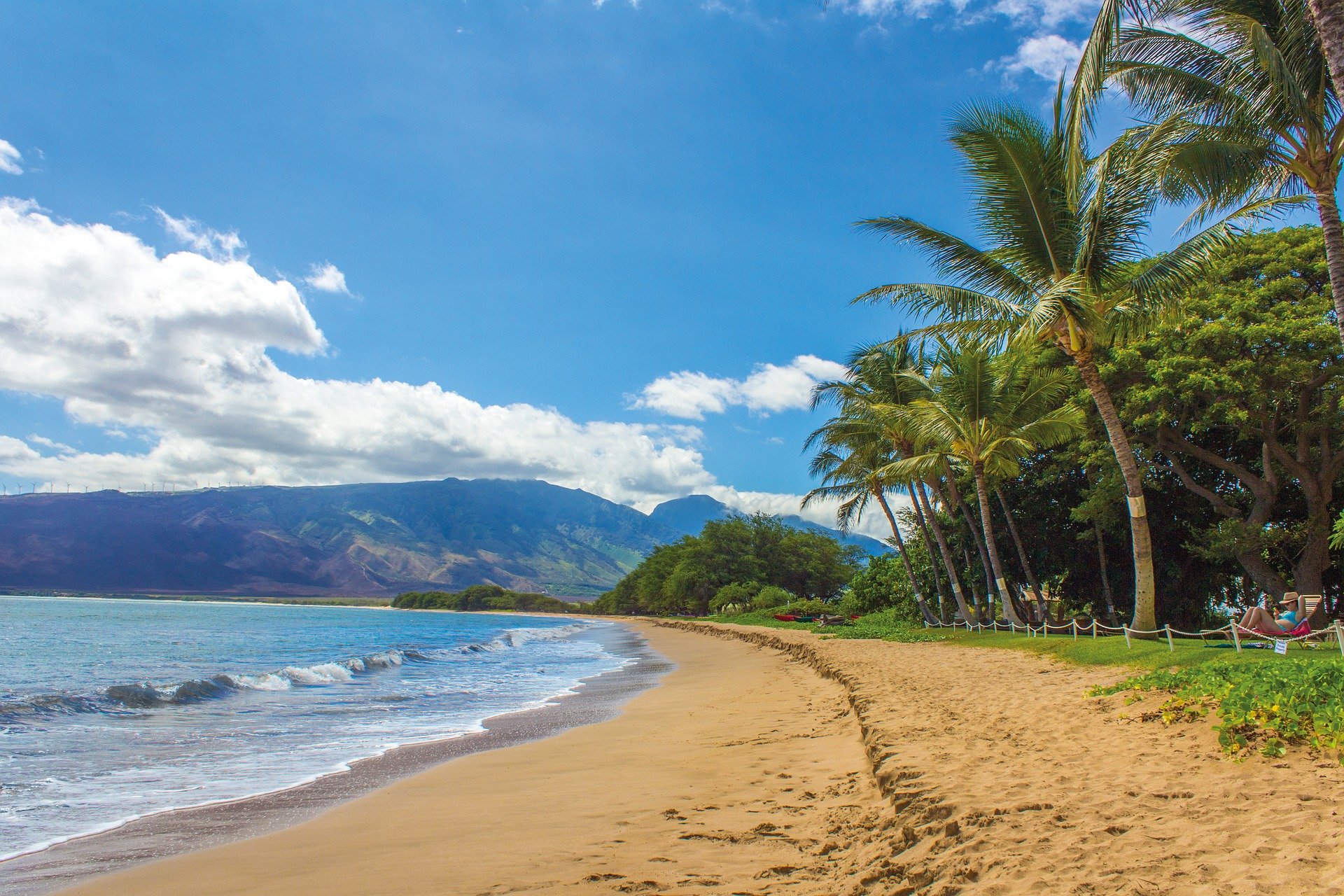 Image of a sandy beach and palm trees in Hawaii