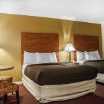 Changes to Expedia Rewards Starting on February 1, 2022