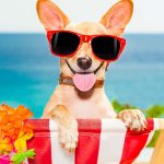 Daily Getaways Limited-Time Deals Are Back!