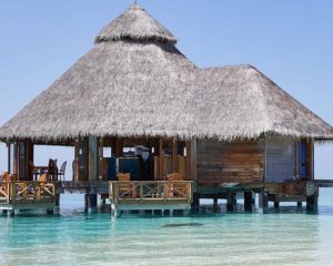 Copy-of-Feature-Toni-37-300x240