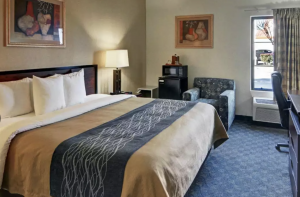 Room at the Quality Inn & Suites DFW Airport South