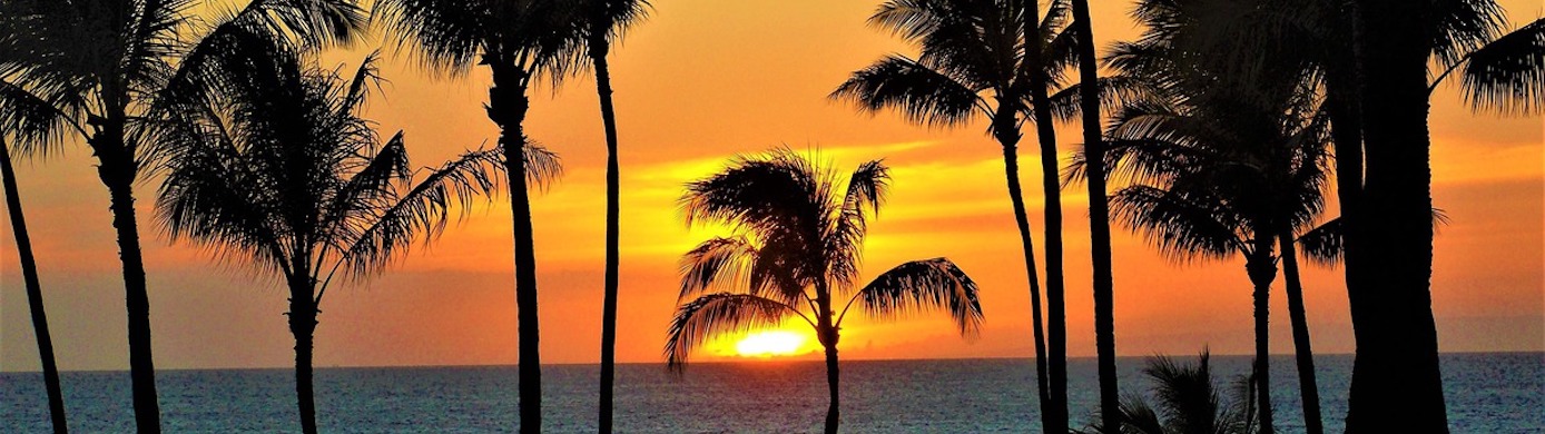 Transfer Capital One Miles to Wyndham Rewards With a 20% Bonus