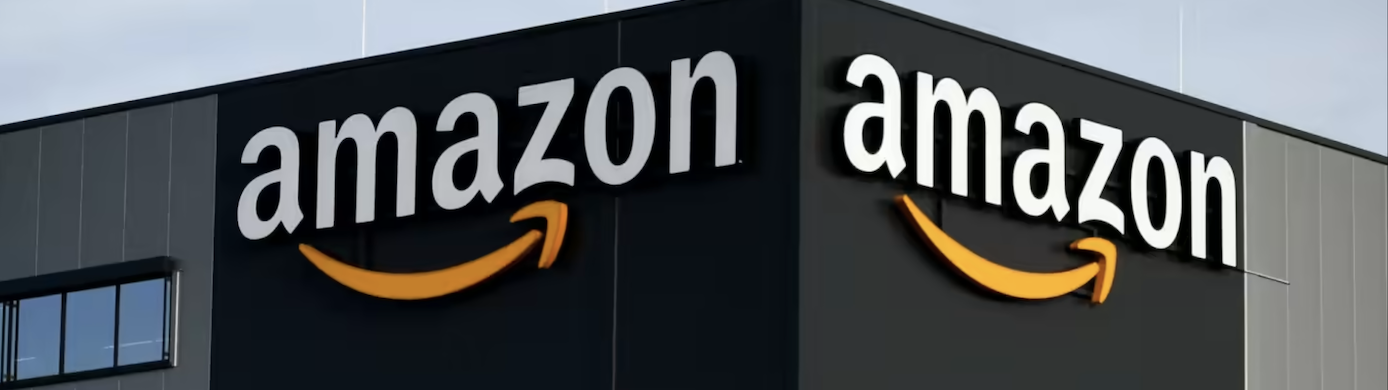 Best Cards for Amazon Purchases — Earn up to 6% Cash Back or 2X Transferable Points