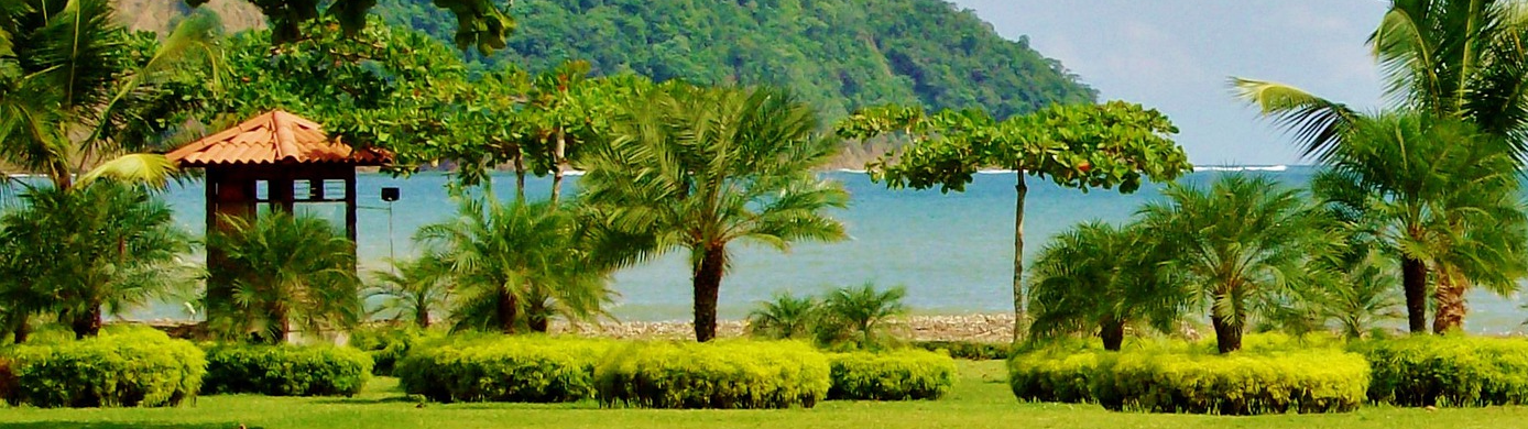 Marriott Elite Status Made Easy: Earn up to a 40 Elite Night Credits Boost With Credit Cards