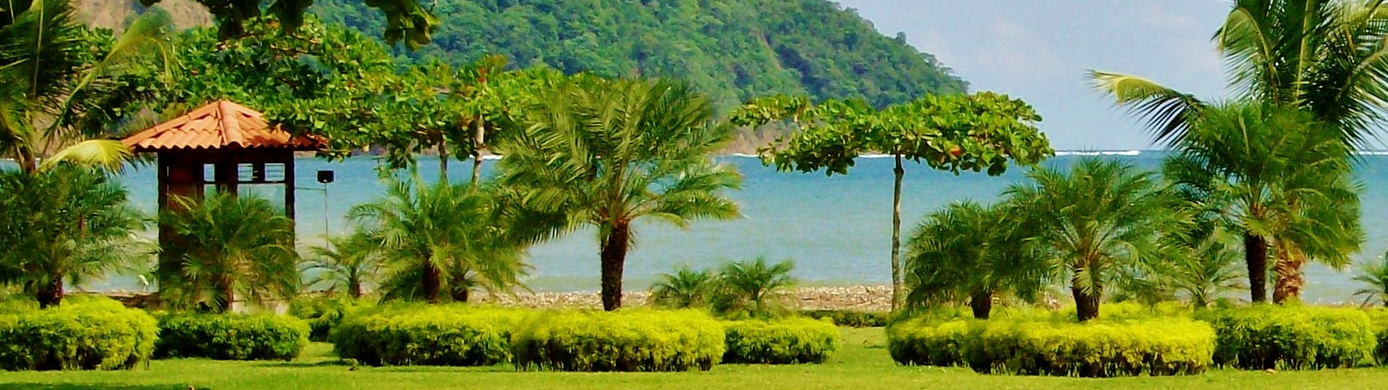 United & Marriott’s RewardsPlus Program: Status Matches, Enhanced Point Transfers, and More