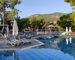 a hotel pool at sunrise, surrounded by trees and hills; many hotel programs allow you to gift an award stay to someone else