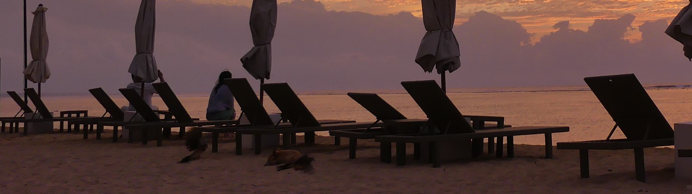 Ending Soon: American Airlines Status Match Challenge for World of Hyatt Elites