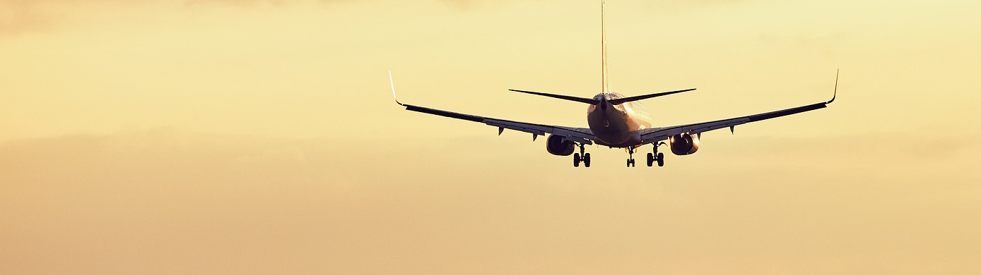 What Perks Does AwardWallet Plus Provide?