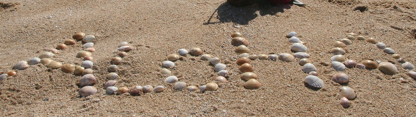 Alaska Airlines Adds Mokulele Airlines as a New Partner