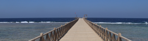 a jetty out into the ocean for pedestrians to walk on