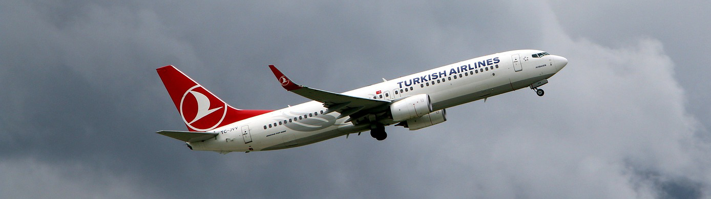 Capital One's Best Transfer Partners: Our Top 4 Favorites