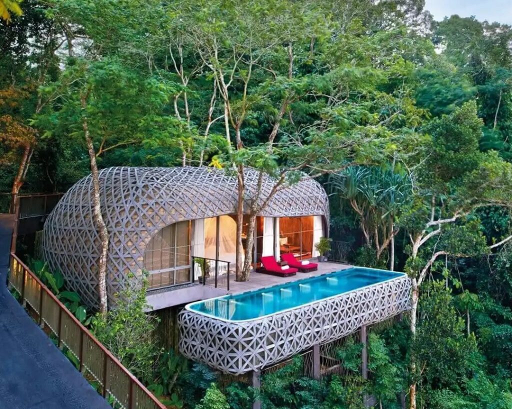 a luxury hotel hut with private plunge pool nestled among trees