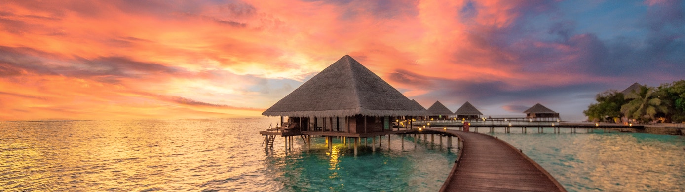 Do Any Credit Cards Provide Top-Tier Hotel Elite Status?