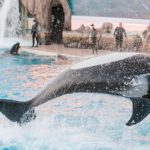 Cheap Hyatt Points to Vegas Getaways: What’s Coming in Week 3 of Daily Getaways