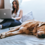 Awayz Review: Easily Search Hotel Award Availability Across All Programs