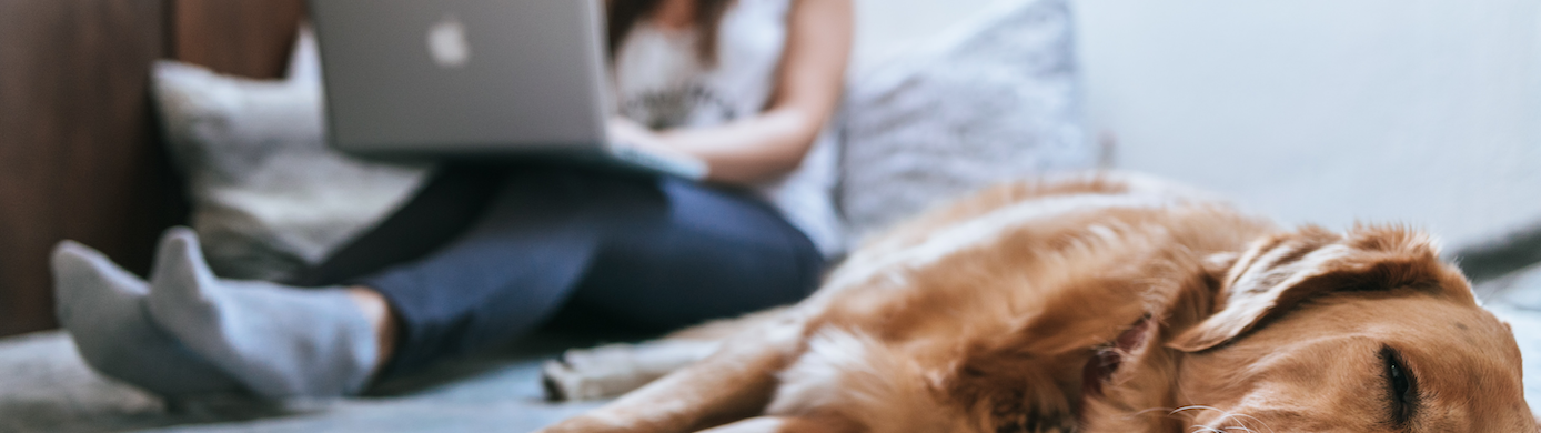 How Does a Credit Card Sign-Up Bonus Work?