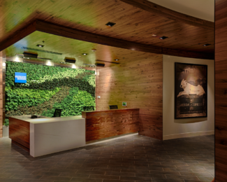 When Should You Add Authorized Users to the Platinum Card® from American Express?