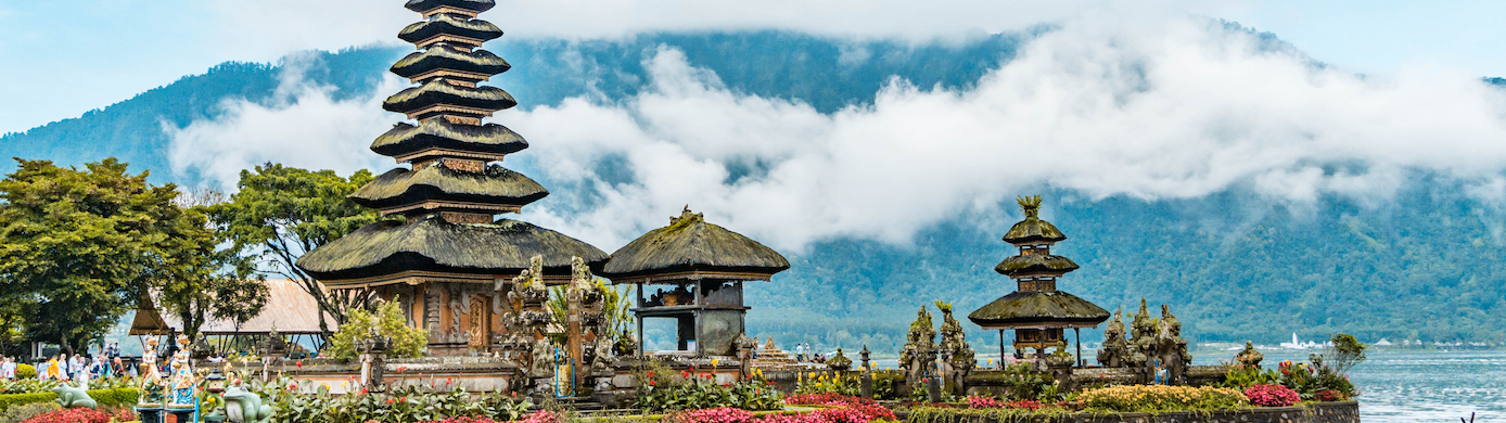 Maximize Your Points: All Current Transfer Bonuses Available Now (Amex, Chase, Citi, Rove, and More)