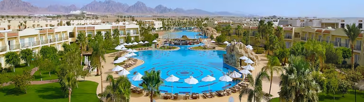 How to Earn Hilton Honors Points: Stays, Cards, Partners, and More