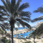 American Airlines Vacations Promotions: Save up to $250 or Get up to 20k Bonus AAdvantage Miles