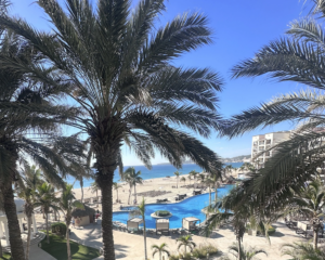 Looking through palm trees toward the pool at Hyatt Ziva Los Cabos