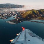 Flight Price Tracker Websites: How They Work and How They Save You Money