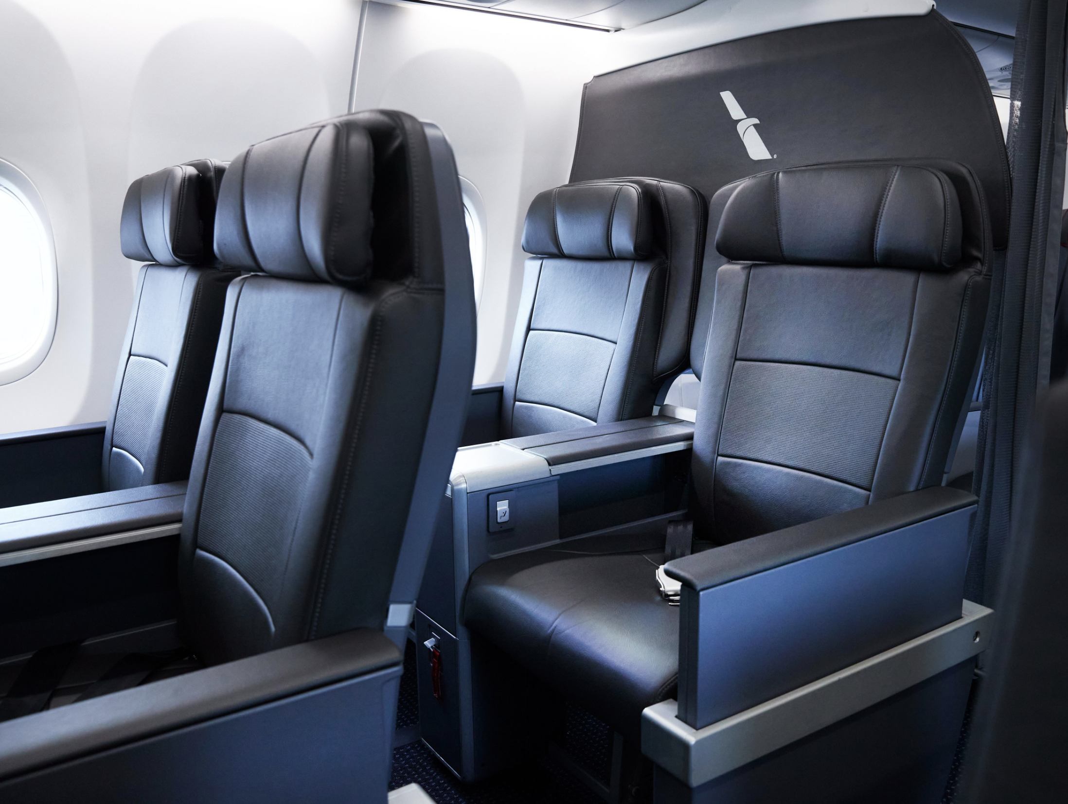 American Airlines domestic first class