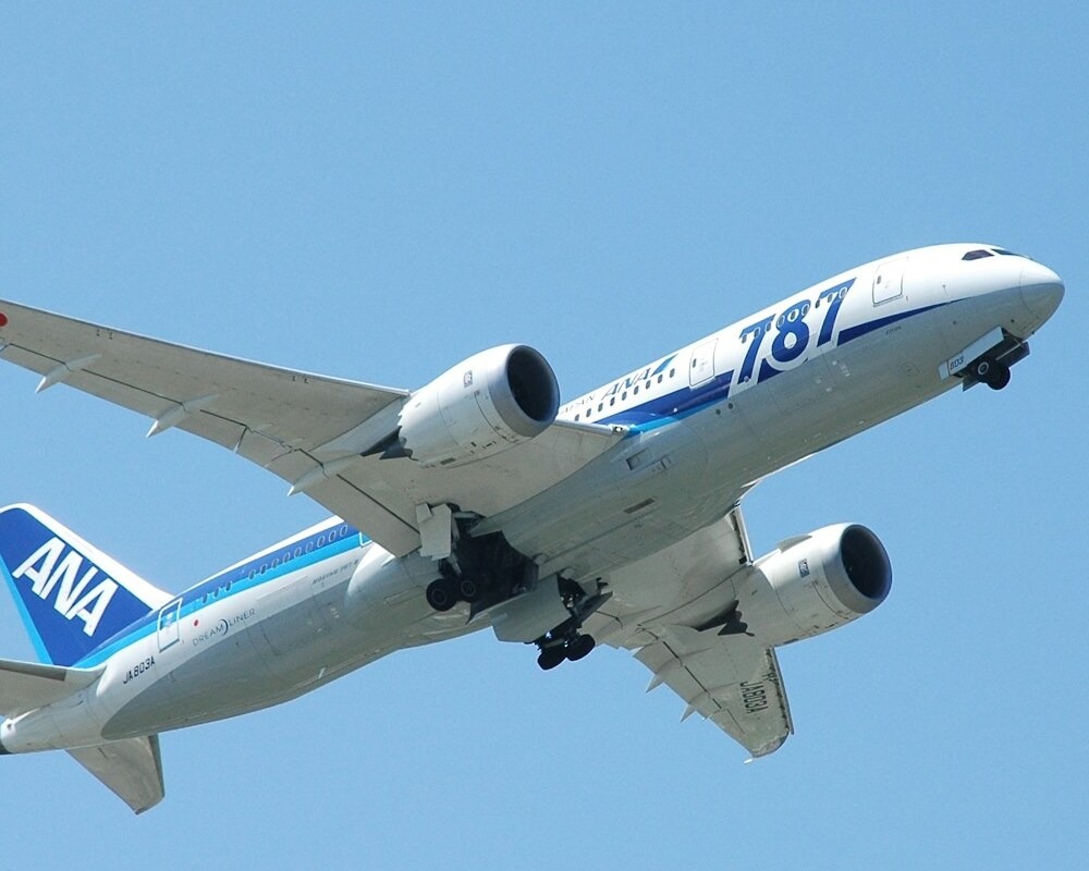 ANA 787 landing in Tokyo