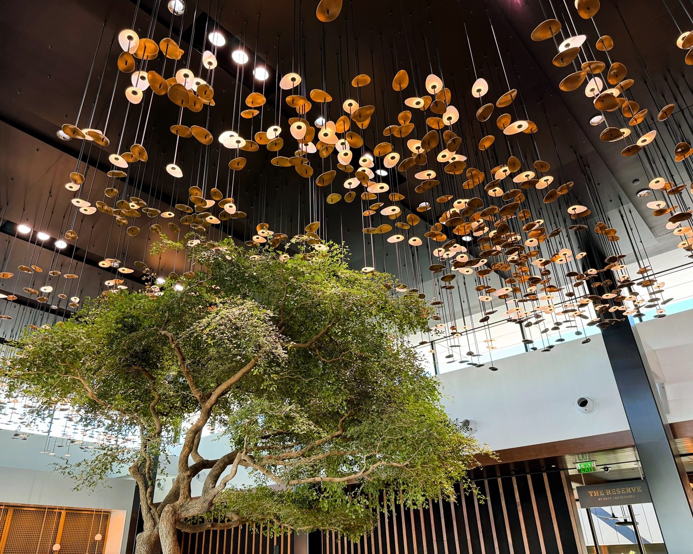 Amex Centurion Lounge atrium in the ATL airport.