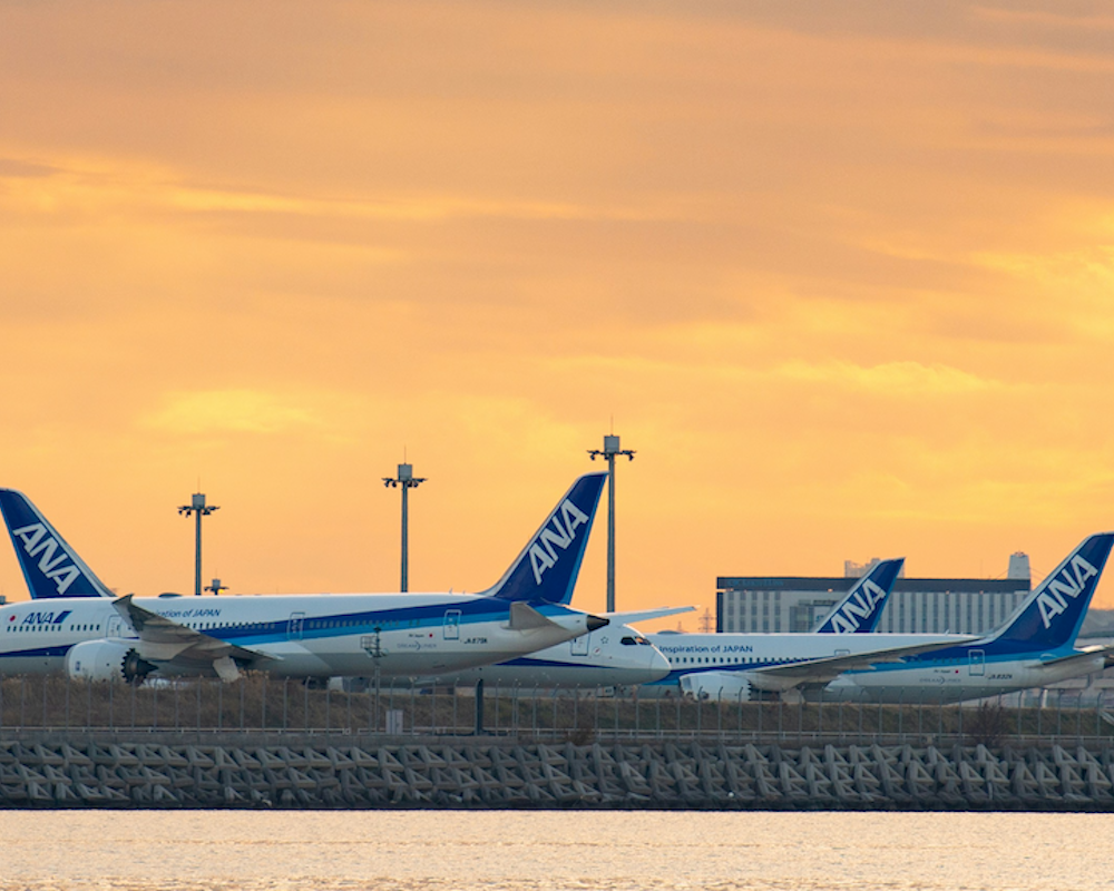 ANA planes at Tokyo Haneda Airport at sunset
